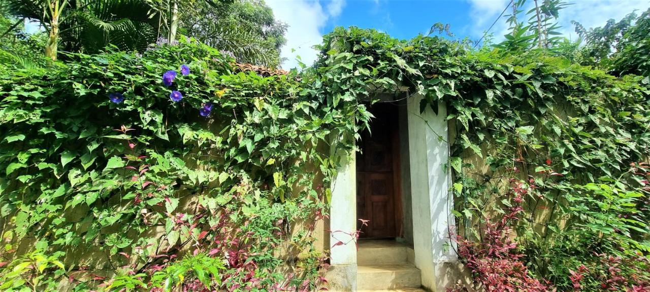 Sand Dollar House, Hiriketiya Dikwella Esterno foto